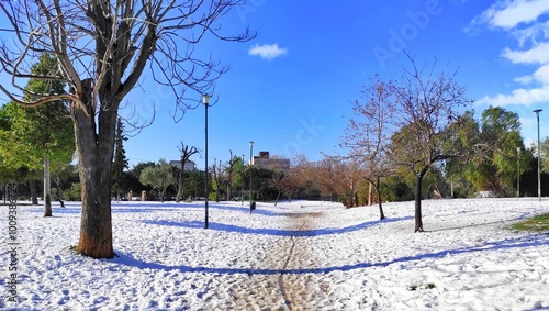 Winter view of a charming, snow-covered municipal park in Akadimia Platonos, Athens, Greece, the historic site where Plato founded his Academy around 387 BC. photo