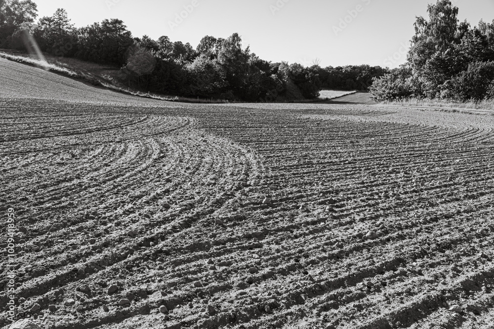 Obraz premium Country roads Sweden 