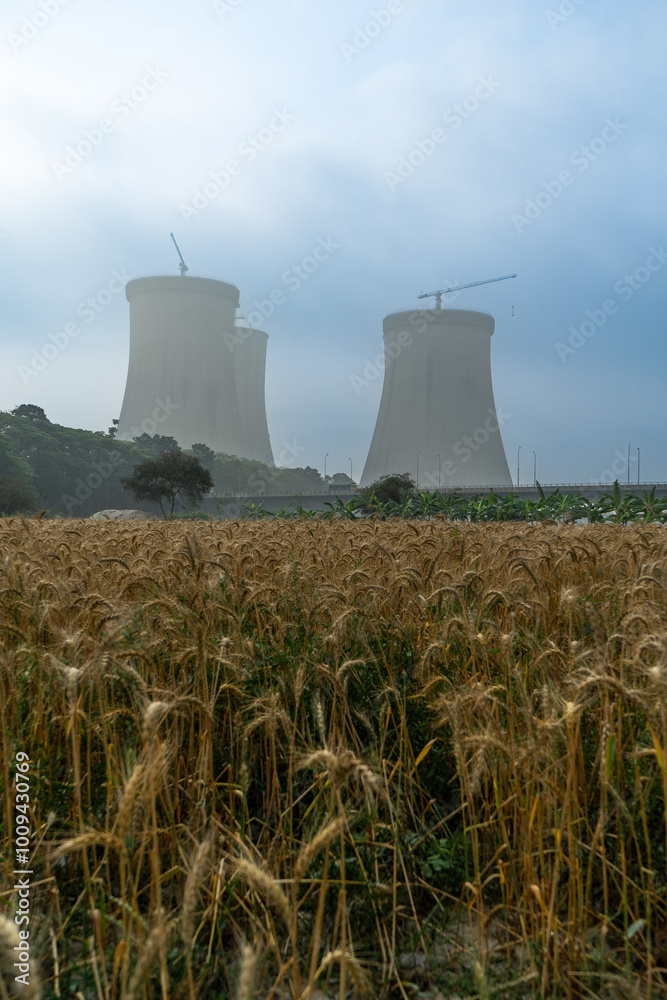 Cooling towers of nuclear power plant rising behind field of ripe wheat. industrial infrastructure with nature under a cloudy sky, contrast between agriculture and industry.