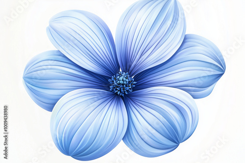 blue chrysanthemum flower