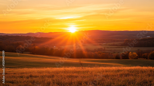 Golden sunset over a serene landscape, with trees silhouetted against a vibrant sky in autumn colors during late afternoon