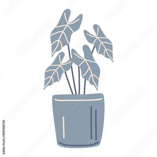 Alocasia is an exotic homemade flower in a pot. Vector illustration in hand-drawn style, isolated on a white background