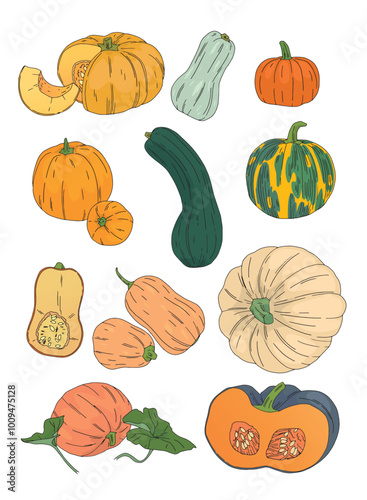 color vector set of drawn pumpkins of different shapes