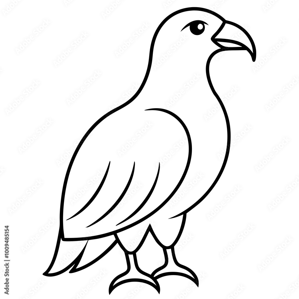dove of peace dove of peace