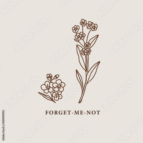 Line art forget-me-not flower branches illustration	