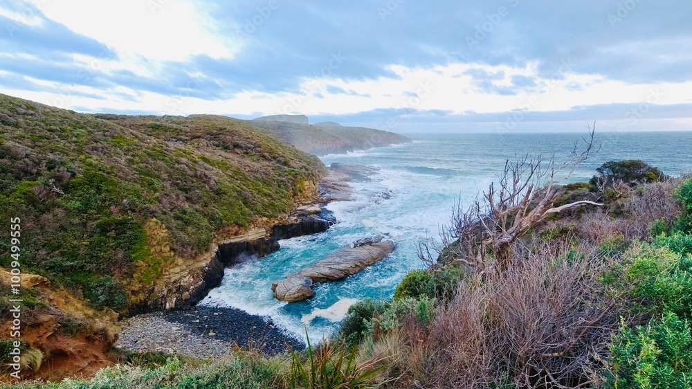 view of the coast of the sea “Remarkable cave” Tasmania Australia view of the coast of the sea “Remarkable cave” Tasmania Australia