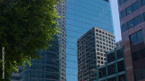 Modern skyscrapers with reflective glass facades and a tree in the foreground. Clear blue sky reflects in mirror-glass surface of hi-rise buildings. Center of Los Angeles on a sunny day.