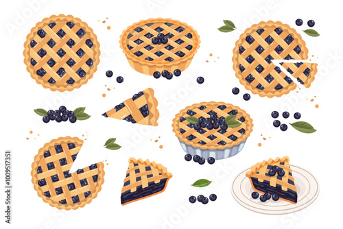 Set of baked blueberry pie, pie pieces and blueberries. Food, dessert, sweet. Flat illustration, sweet snack icons