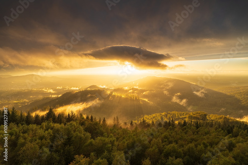 Wallpaper Mural The setting sun shines under a cloud through the rising fog in the northern Black Forest Torontodigital.ca