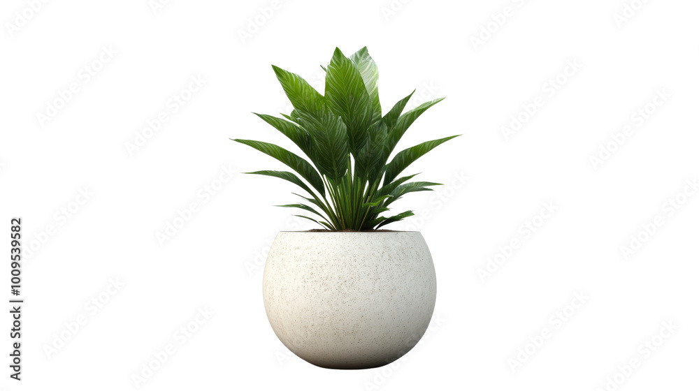 Brown earthen flower pot with green plant isolated on white background. PNG file with transparent background Brown earthen flower pot with green plant isolated on white background. PNG file with transparent background
