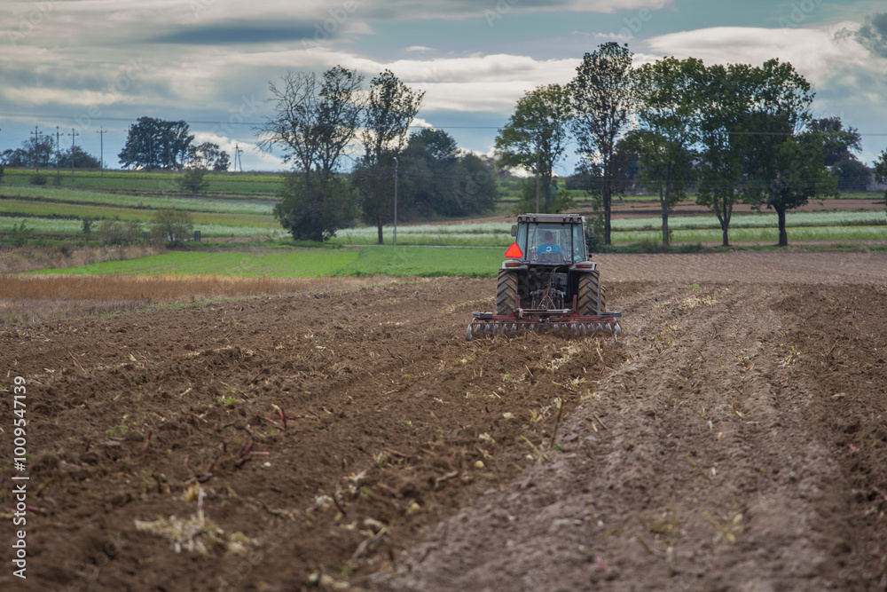 Fototapeta premium tractor working in the field