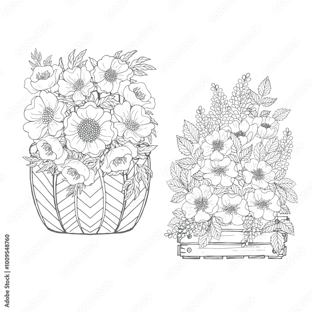 Fototapeta premium Flora line art coloring pages for decoration