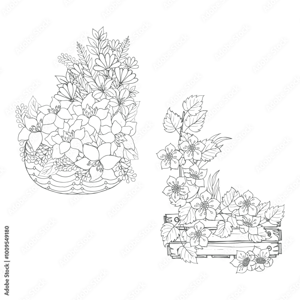 Fototapeta premium Flora line art coloring pages for decoration