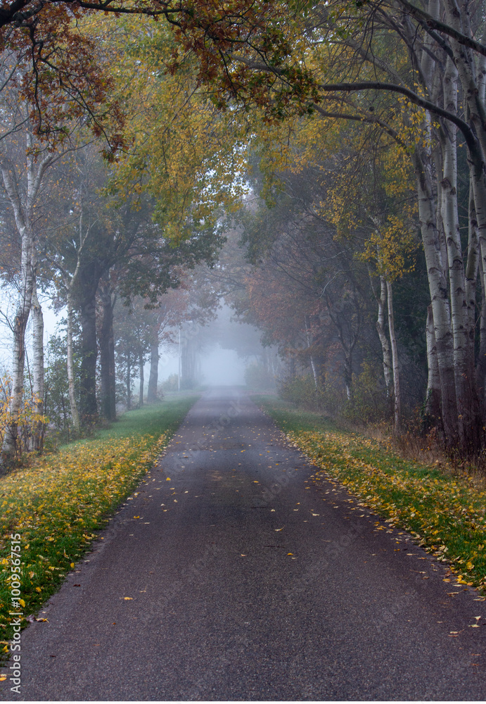 The street of silence in fall The street of silence in fall