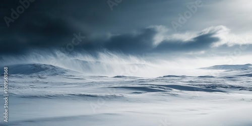 A serene winter landscape with snow and dramatic clouds, evoking a sense of isolation.