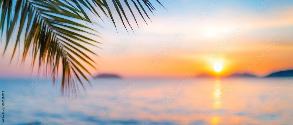  The sun sets over the ocean, with a palm tree in the foreground and a small island distant