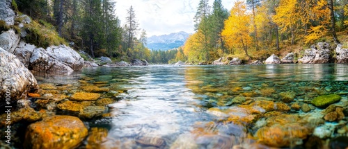  A river runs through a lush forest, teeming with green, yellow, and orange trees Adjacent, a forest is populated with numerous rocks