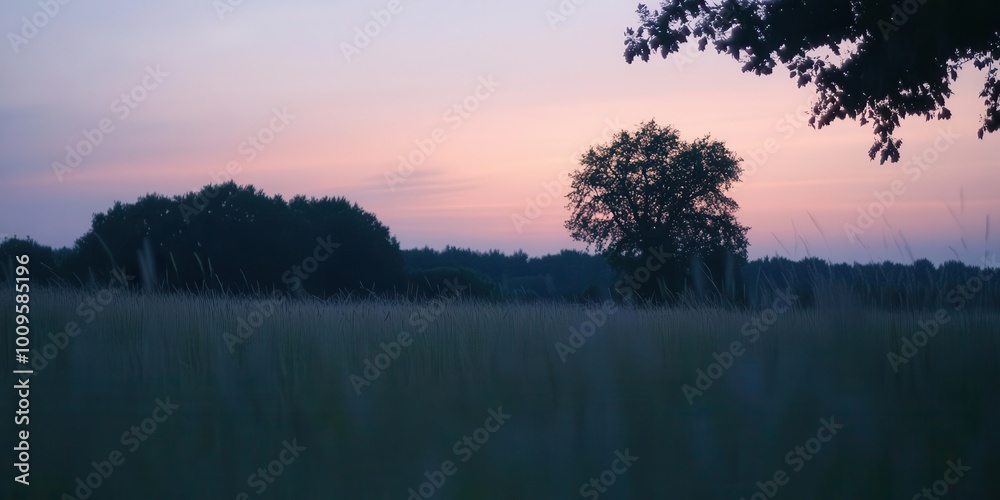Naklejka premium A tranquil landscape at dusk, featuring a solitary tree and a field under a colorful sky.