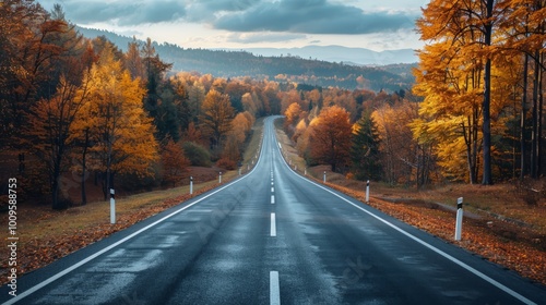 Empty asphalt road through autumn forest with colorful leaves.