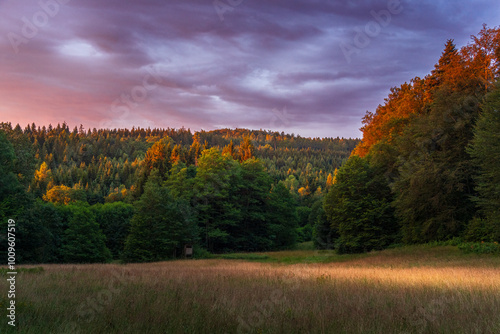 A clearing with a hunting stand during sunrise in the northern Black Forest