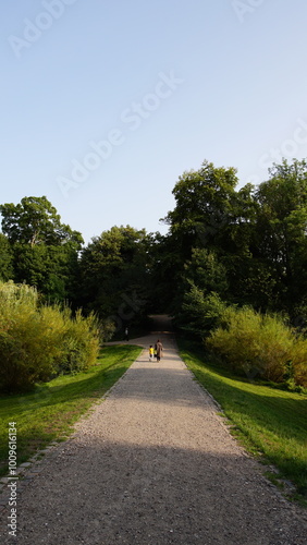 road in the countryside