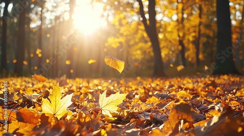 Wallpaper Mural   A field brimming with golden leaves bathed under a radiant sun filtering through the leaf-laden trees Torontodigital.ca
