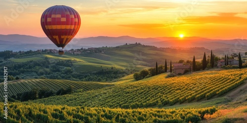 a hot air balloon flying over a vineyard field