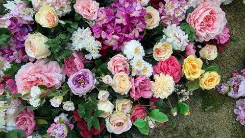 flowers in the garden