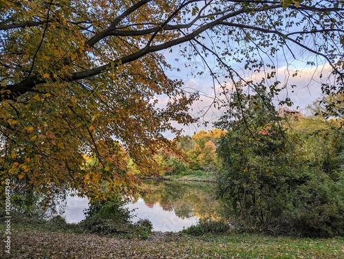 autumn in the park