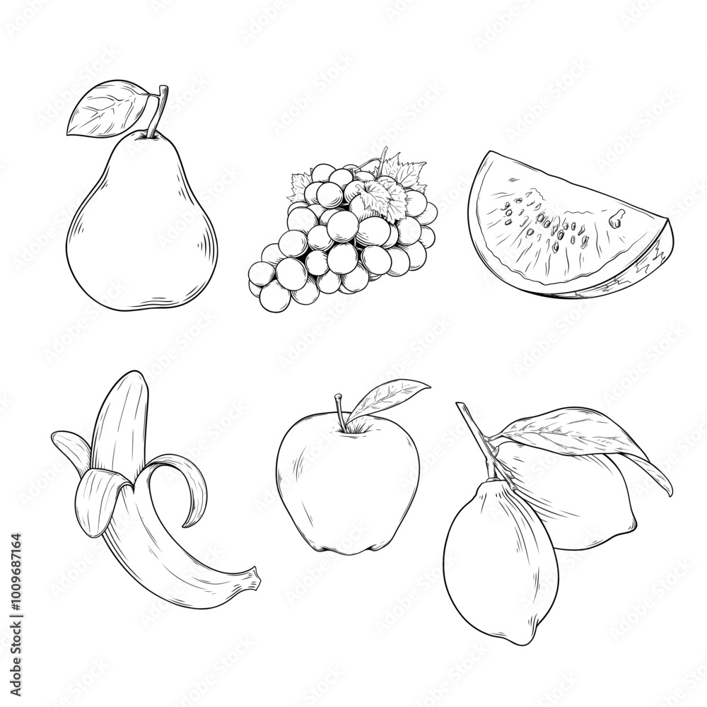 fresh fruit vector line art drawing illustration fresh fruit vector line art drawing illustration