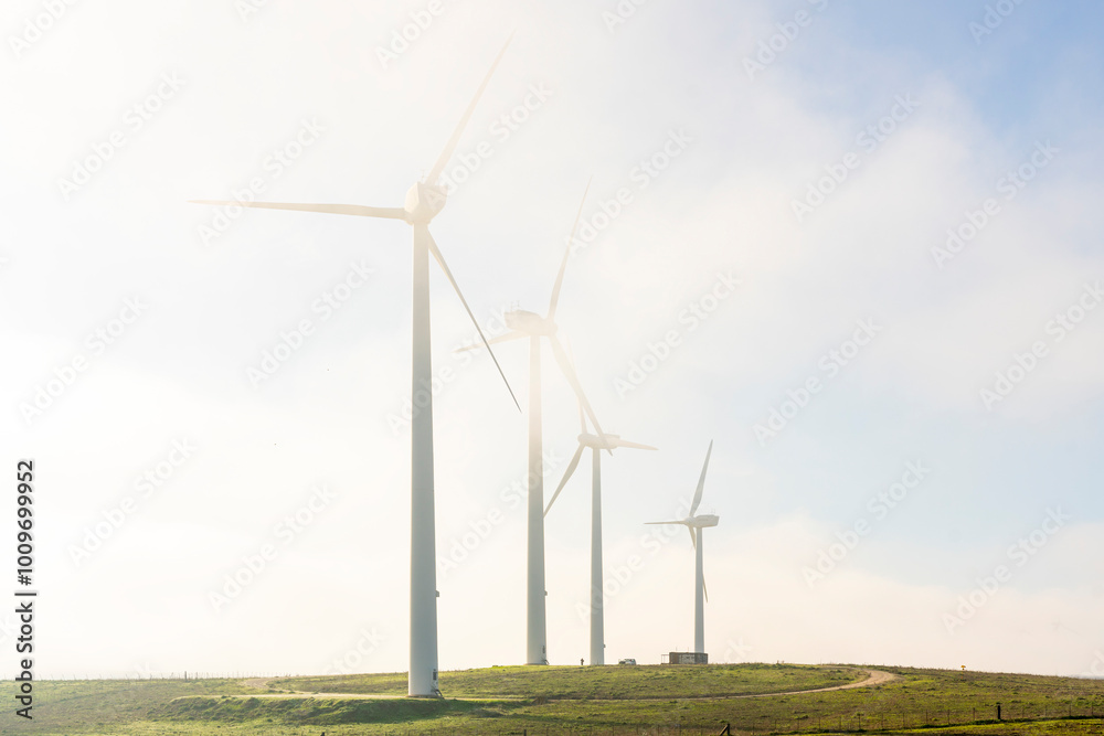 Misty Morning at the Wind Farm: Embracing Renewable Energy in Andalusia Misty Morning at the Wind Farm: Embracing Renewable Energy in Andalusia