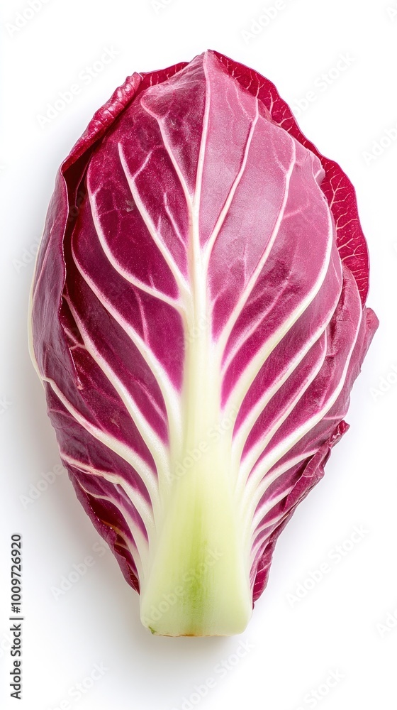 fresh red radicchio on a white background fresh red radicchio on a white background