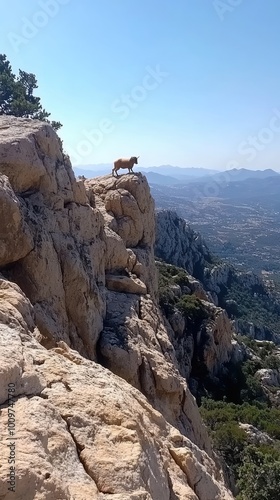 Cabra montesa equilibrada sobre la cima de una roca, con un paisaje montañoso de fondo. La imagen destaca la destreza y agilidad del animal, mostrando detalles de su pelaje y su postura dominante.