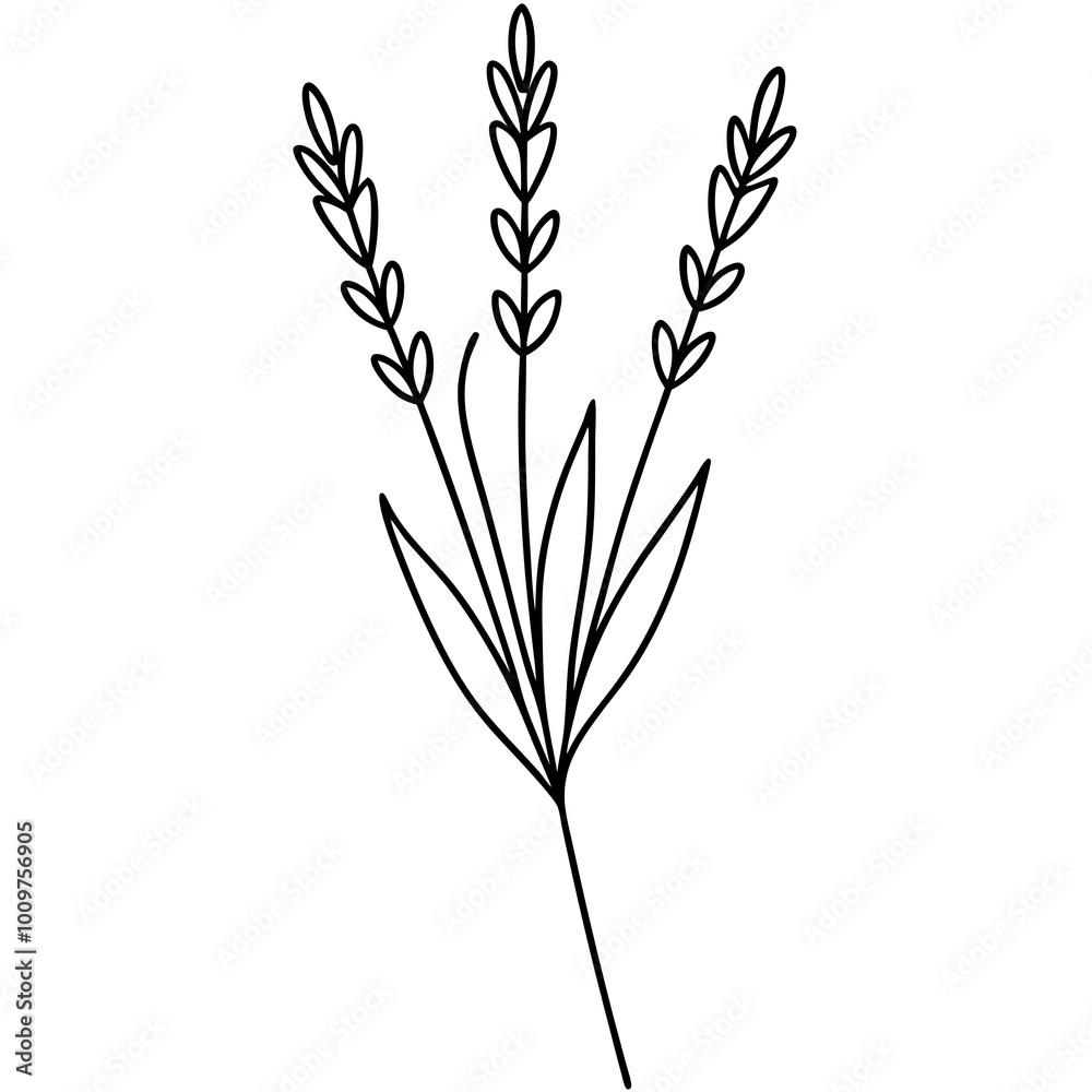 Vector Illustration of a Graceful Lavender Sprig Featuring a Tall Stem
Vector Illustration of a Graceful Lavender Sprig Featuring a Tall Stem