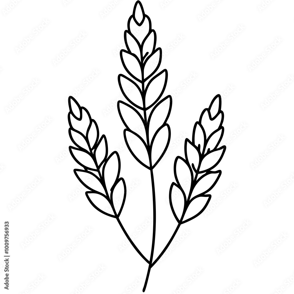 vector-illustration-of-a-small-cluster-of-cypress-flowers-with-needle-showcasing-delicate-details-and-beauty
vector-illustration-of-a-small-cluster-of-cypress-flowers-with-needle-showcasing-delicate-details-and-beauty