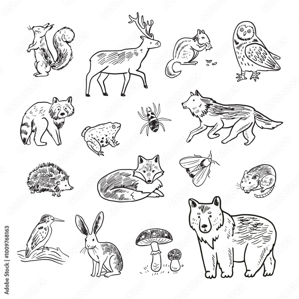 Obraz premium Set of forest animals. Hand drawn vector illustration in sketch style.