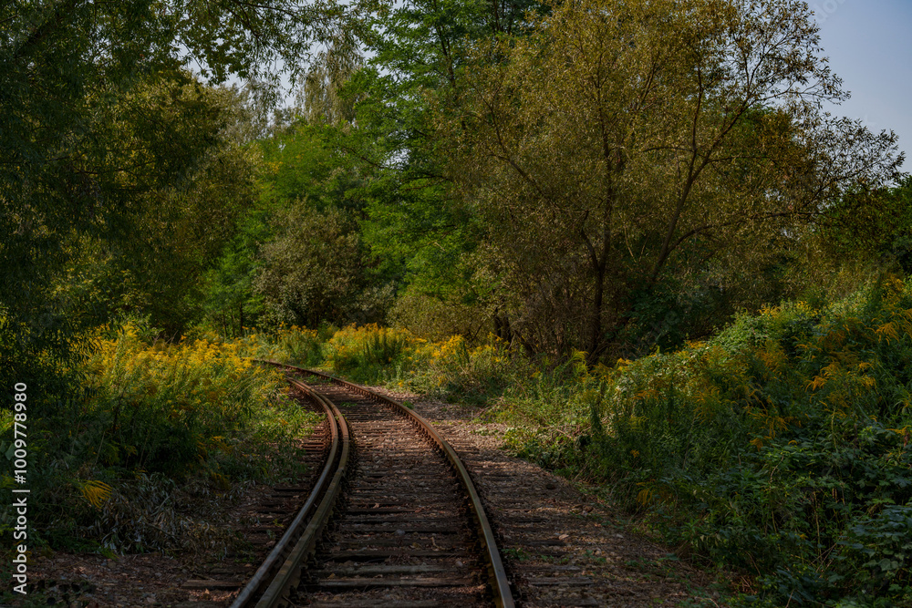 Old disused railway tracks running through the forest. Old disused railway tracks running through the forest.