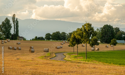 Golden hour over a rural Geneva landscape with hay bales photo