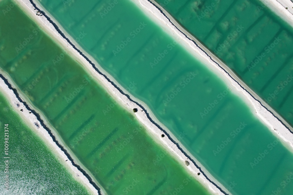 Aerial picture of salty lakes in Western Australia. Amazing geometric shapes and straight lines view from the sky, green colors. Drone footage, salt lake, sand and a tree. Perfect background picture. Aerial picture of salty lakes in Western Australia. Amazing geometric shapes and straight lines view from the sky, green colors. Drone footage, salt lake, sand and a tree. Perfect background picture.