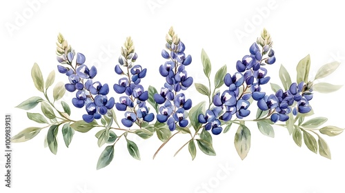 Fototapeta Naklejka Na Ścianę i Meble -  A watercolor illustration of a cluster of bluebonnet flowers with green leaves against a white background.