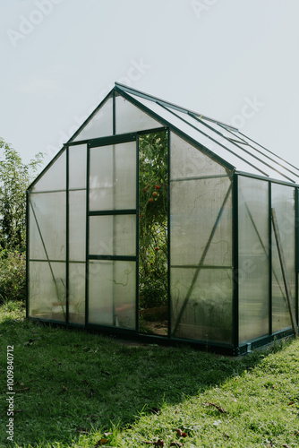 Gewächshaus