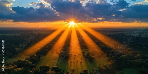 Breathtaking Sunrise Over Lush Forested Landscape With Dramatic Sun Rays Piercing Through Clouds Captured in Stunning Aerial View photo