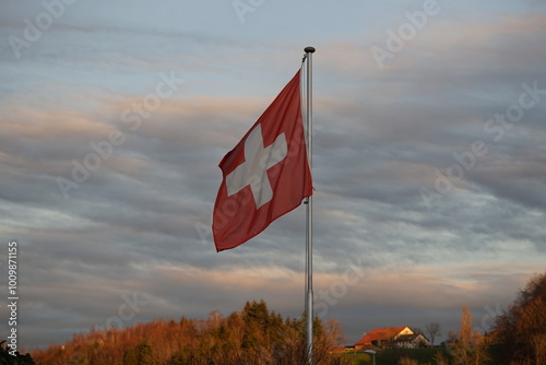 Drapeaux Suisse photo