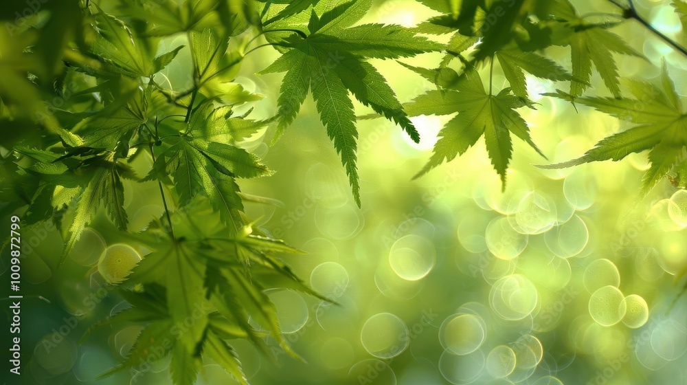 Urban nature art with dynamic scenes, vibrant and serene, Urban, Soft greens, Photograph, City oasis Urban nature art with dynamic scenes, vibrant and serene, Urban, Soft greens, Photograph, City oasis