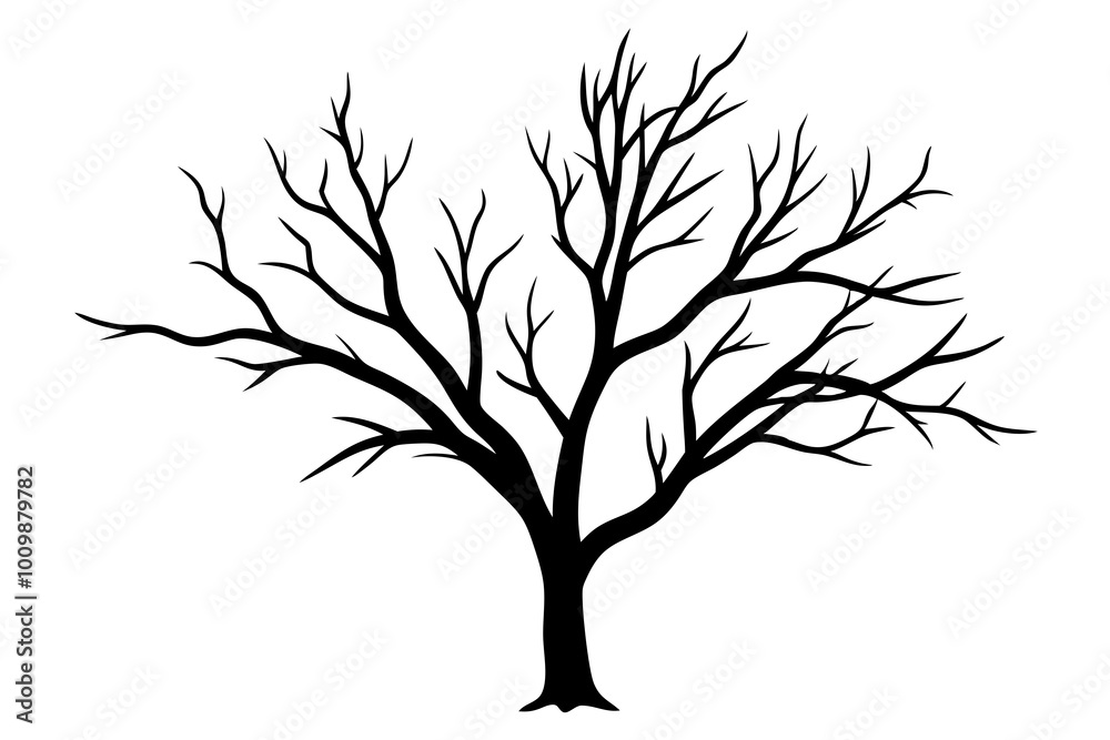 Obraz premium Hand drawn tree branches collection, dry tree branches on white background