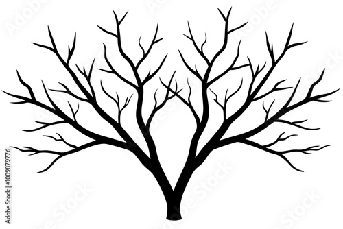 Hand drawn tree branches collection, dry tree branches on white background