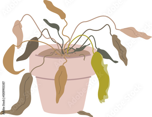 Dried houseplant. Dying domestic botany color icon