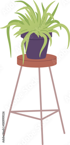Houseplant table. Home botany. Urban jungle decoration
