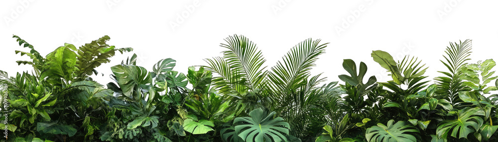 Depth Variations of a Rich Green Jungle of Tropical Leaves.. Isolated on a Transparent Background. Cutout PNG. Depth Variations of a Rich Green Jungle of Tropical Leaves.. Isolated on a Transparent Background. Cutout PNG.