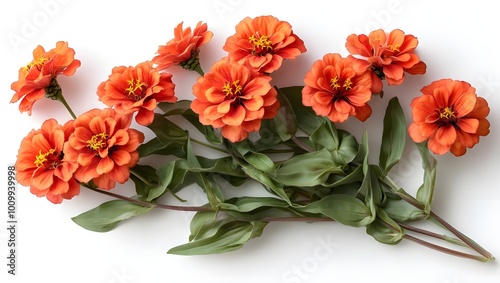 a group of orange flowers